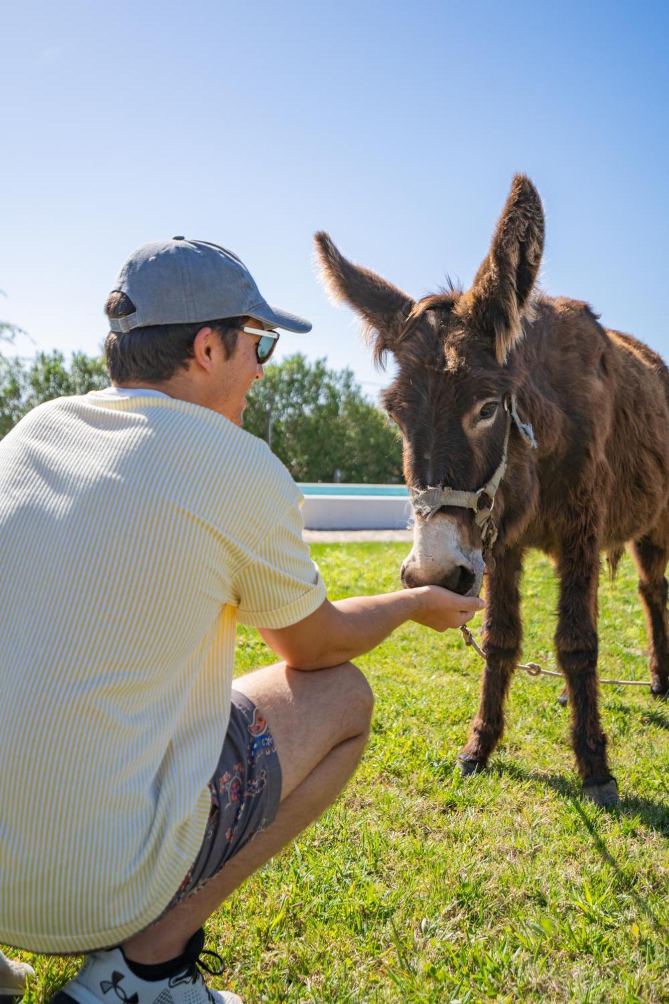 Burro Ville By Host Wise Portimão Eksteriør billede